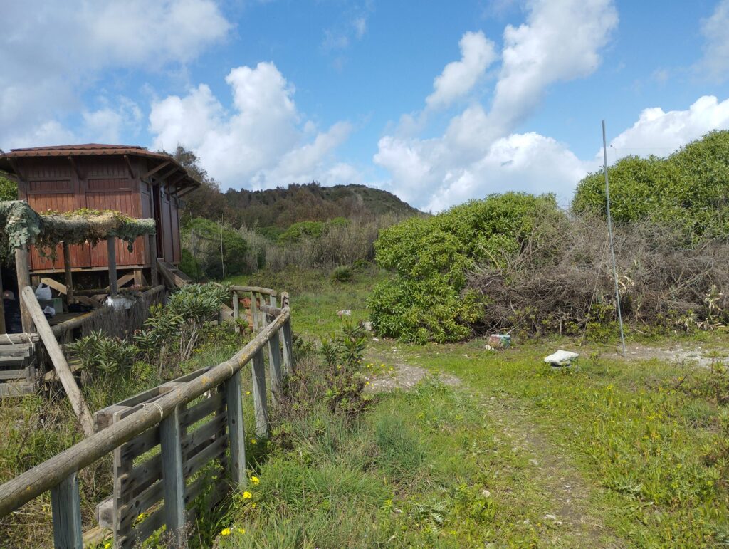 Panorámica de la Estación Ornitológica P. Blanca