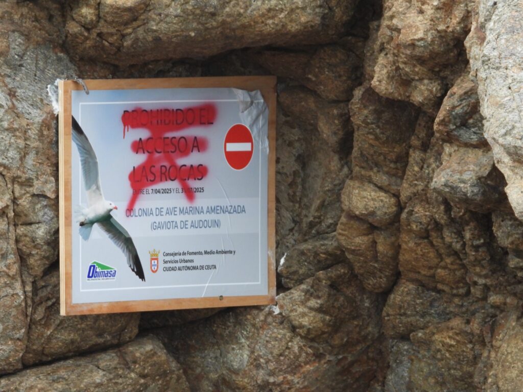 Cartel arrancado y pintado con sprays