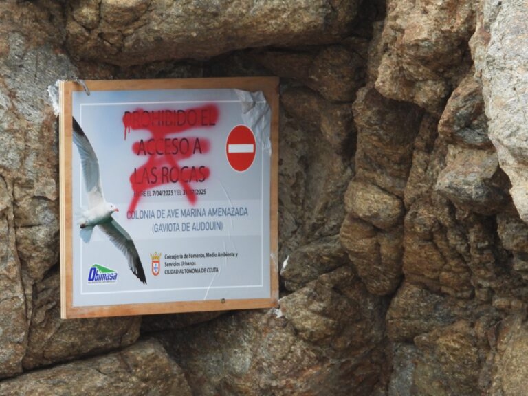 Cartel arrancado y pintado con sprays