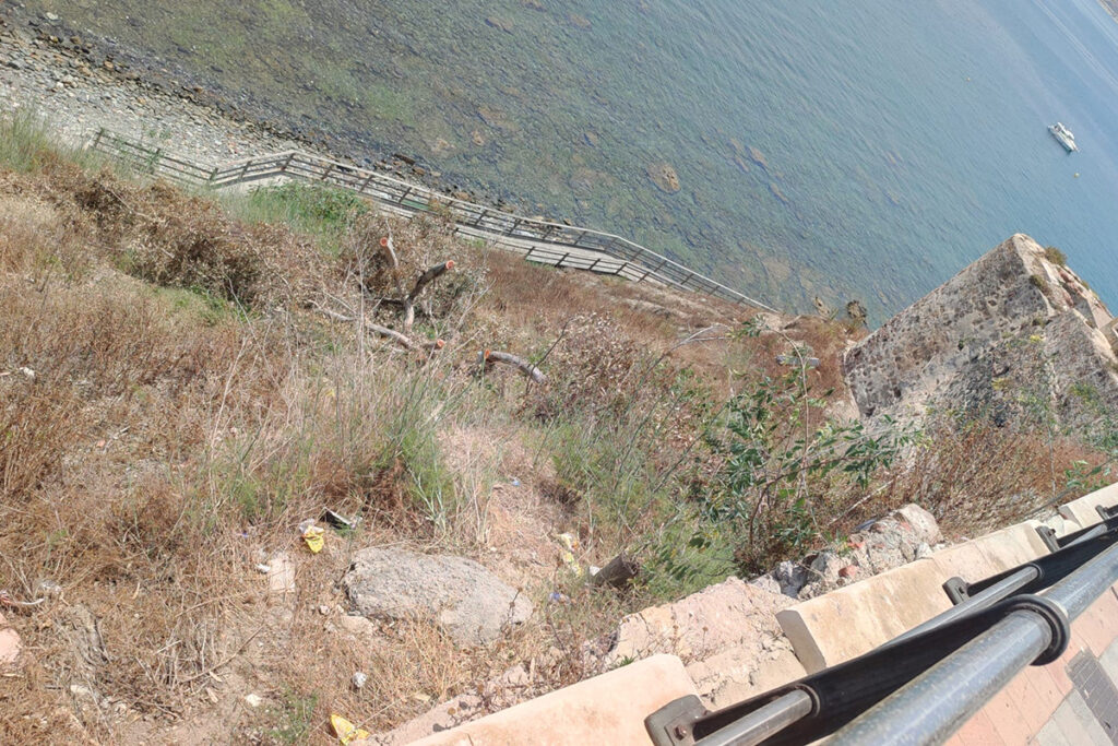 Imagen de la tala de árboles en la ladera de la subida al Recinto