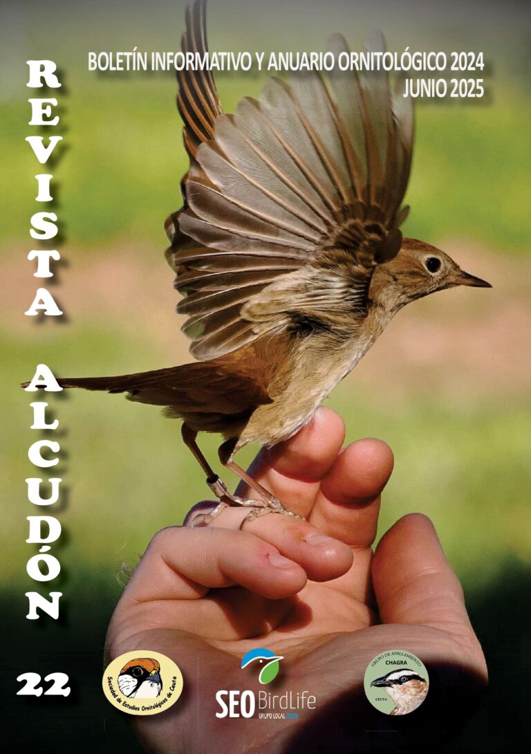 Portada revista Alcudón 22