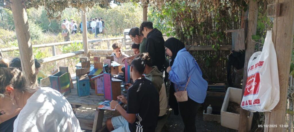 Taller de cajas nido