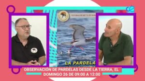 Captura video entrevista RTVCE