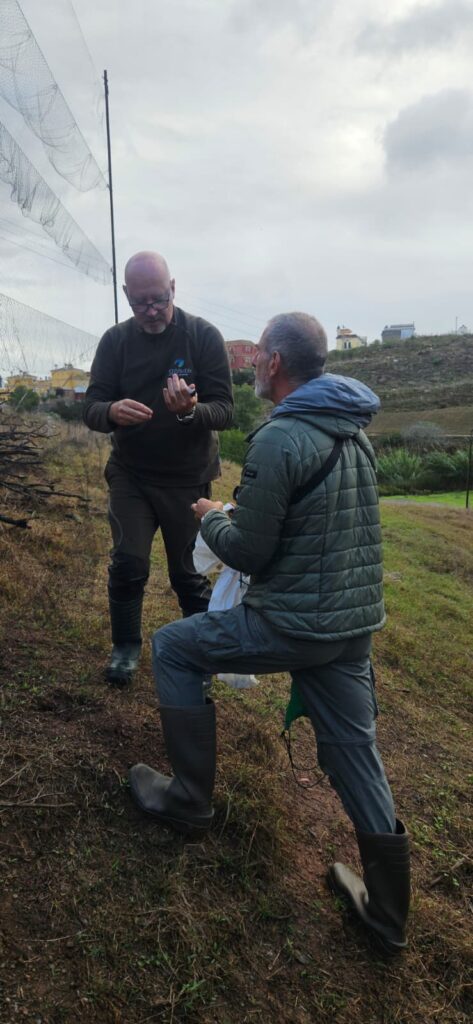 Manuel Rodríguez Ríos y Felix Fernández extrayendo las aves de   la red. Foto: Salomé Qiuiroga 