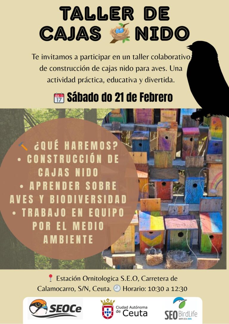 Cartel taller de cajas nido