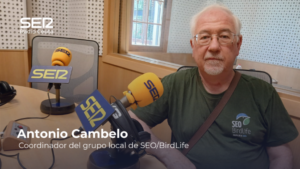 A. J. Cambelo entrevistado por cadena Ser